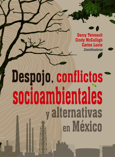 Despojo, conflictos socioambientales y alternativas en México